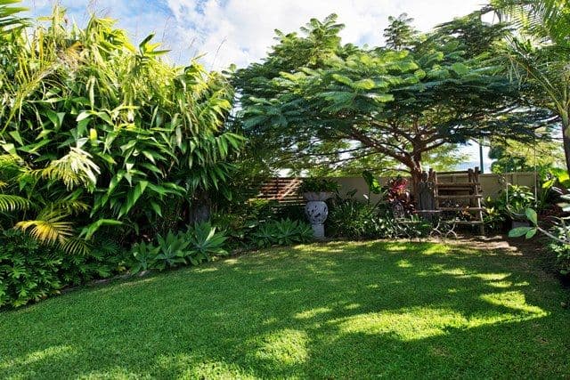 18 Essen Place, OXENFORD QLD 4210, Oxenford - Thumbnail 6