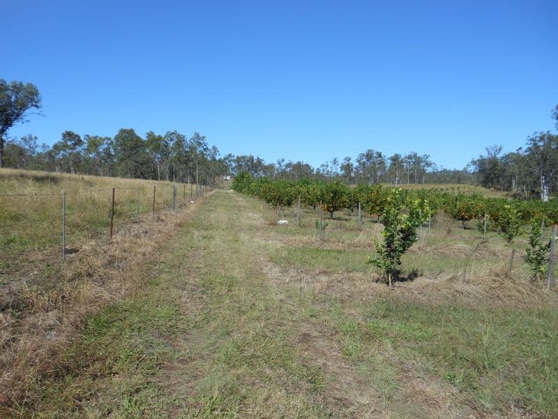 1327 Gin Gin - Mt Perry Road, GIN GIN QLD 4671, Gin Gin - Thumbnail 4