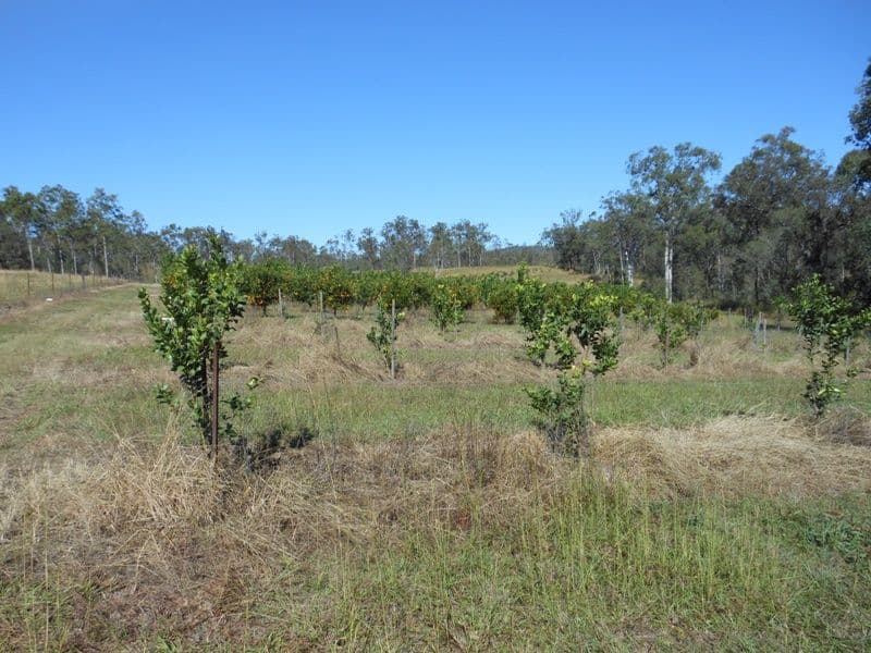 1327 Gin Gin - Mt Perry Road, GIN GIN QLD 4671, Gin Gin - Image 1