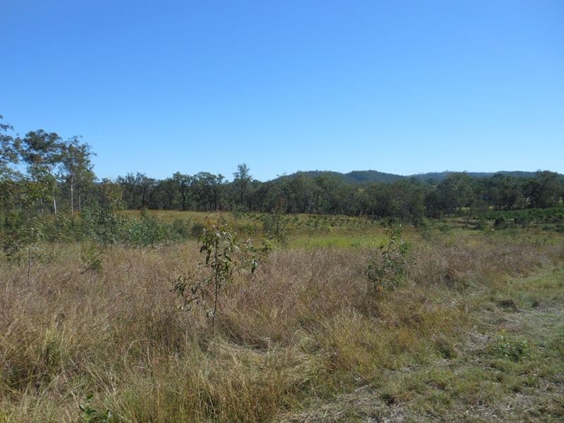 1327 Gin Gin - Mt Perry Road, GIN GIN QLD 4671, Gin Gin - Thumbnail 6