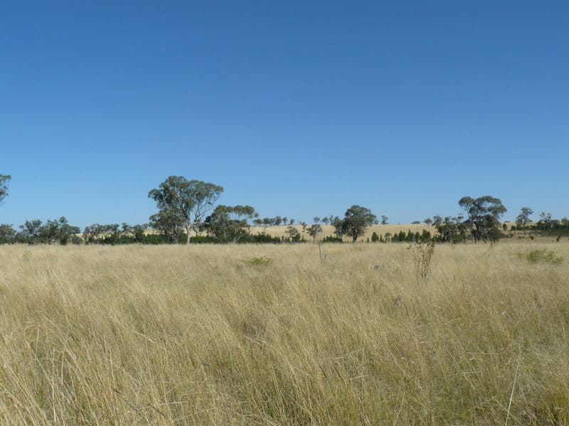 2429 Oregon Road, WARIALDA NSW 2402, Warialda - Thumbnail 3