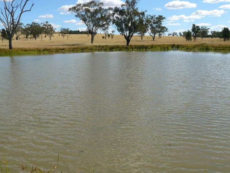 2429 Oregon Road, WARIALDA NSW 2402, Warialda - Thumbnail 8
