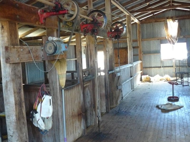 2429 Oregon Road, WARIALDA NSW 2402, Warialda - Thumbnail 6