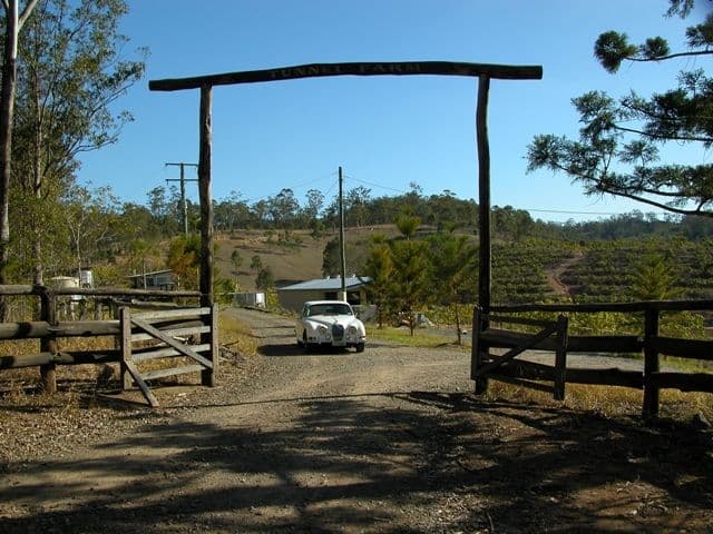 IMBIL QLD 4570, Imbil - Thumbnail 2