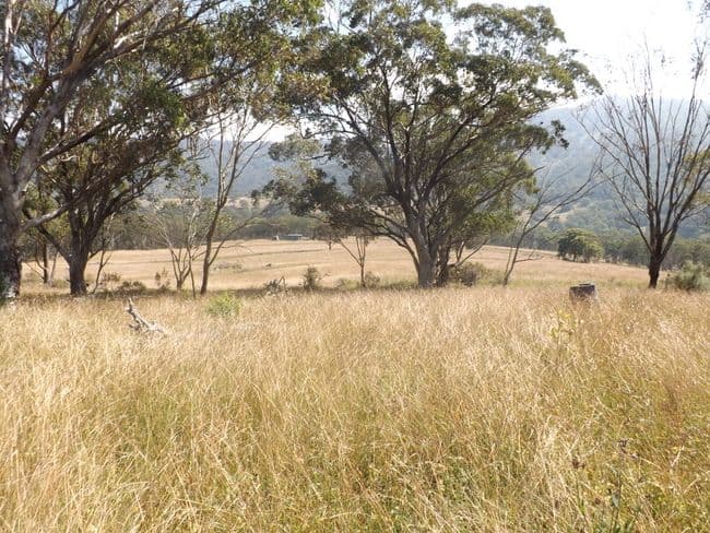 3615 Willow Tree Road, MERRIWA NSW 2329, Merriwa - Thumbnail 6