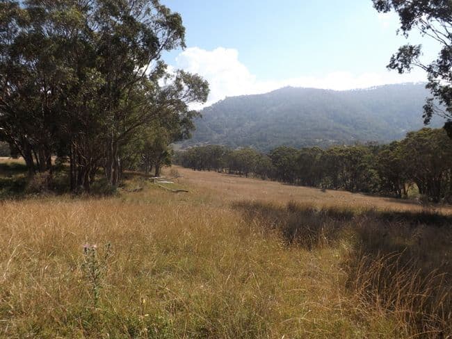 3615 Willow Tree Road, MERRIWA NSW 2329, Merriwa - Thumbnail 5