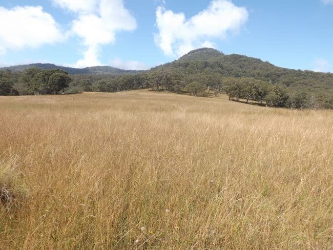 3615 Willow Tree Road, MERRIWA NSW 2329, Merriwa - Thumbnail 2