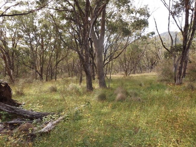 3615 Willow Tree Road, MERRIWA NSW 2329, Merriwa - Thumbnail 3