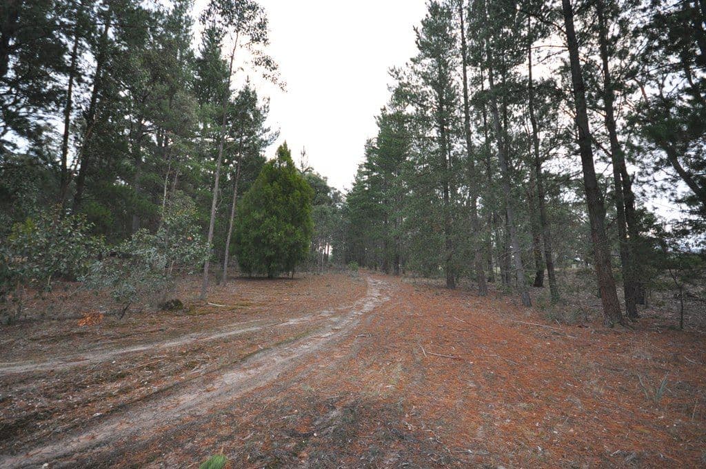 Lot 42 Tilligs Road, SCARSDALE VIC 3351, Scarsdale - Thumbnail 6