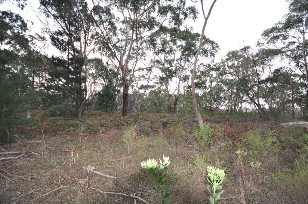 Colac Ballarat Road, DEREEL  Victoria  3352, Australia, Dereel - Thumbnail 6
