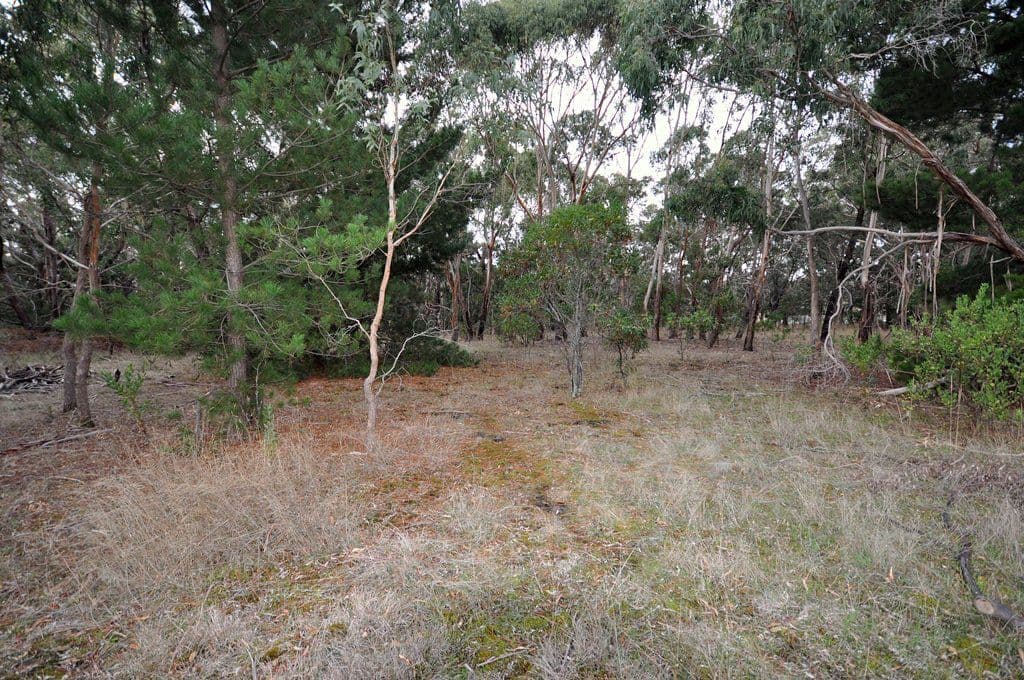Colac Ballarat Road, DEREEL  Victoria  3352, Australia, Dereel - Thumbnail 2