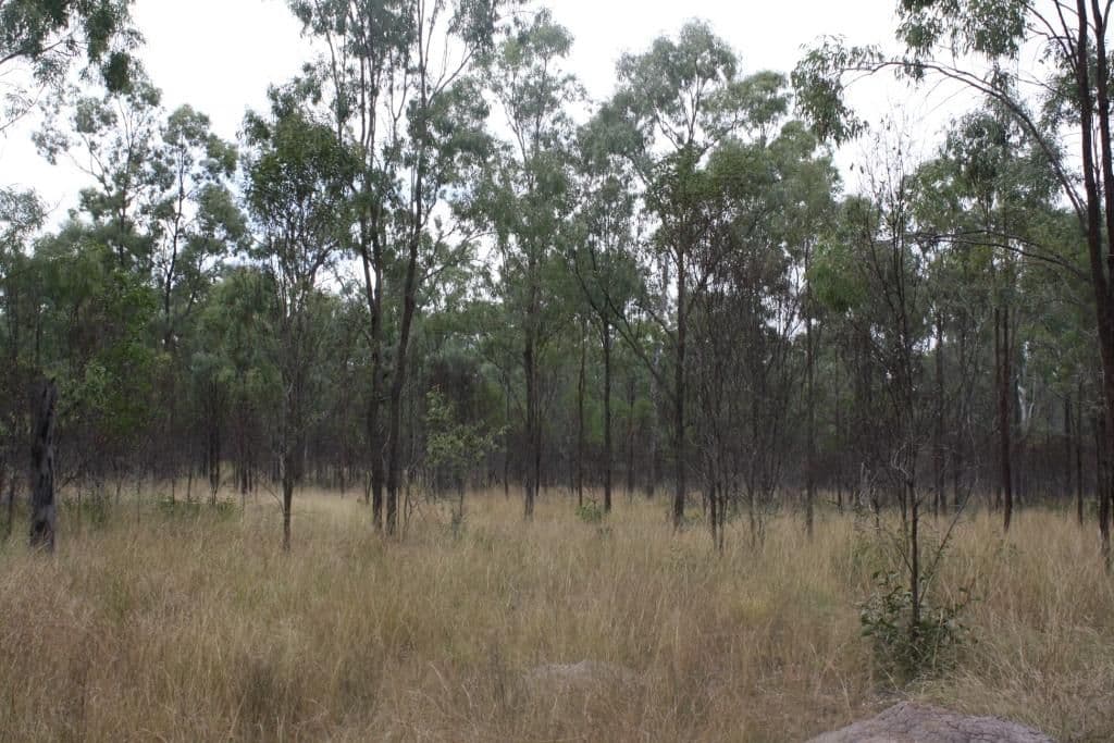 MUNDUBBERA QLD 4626, Mundubbera - Thumbnail 3