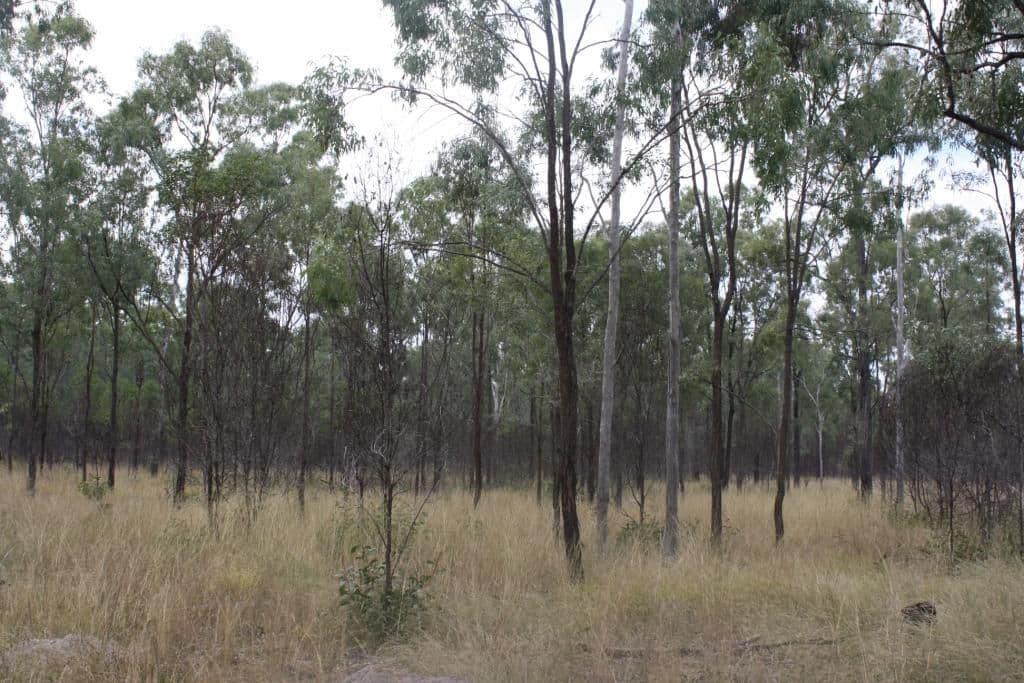 MUNDUBBERA QLD 4626, Mundubbera - Thumbnail 4