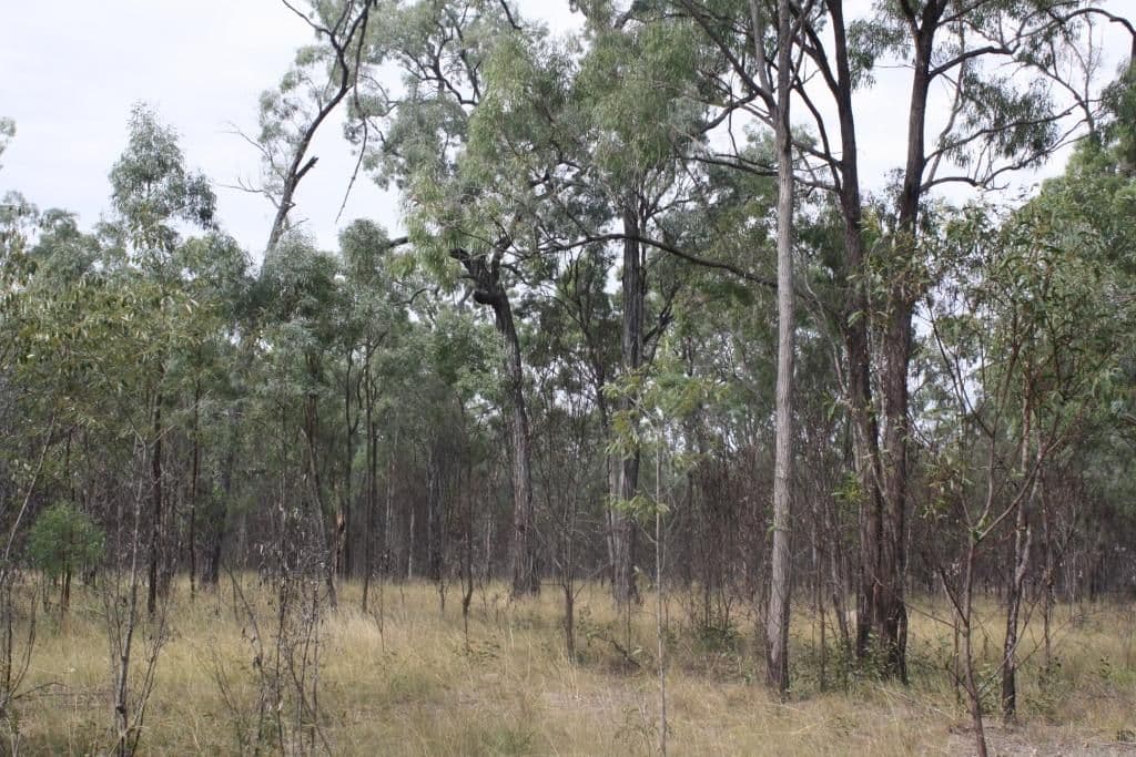 MUNDUBBERA QLD 4626, Mundubbera - Thumbnail 2