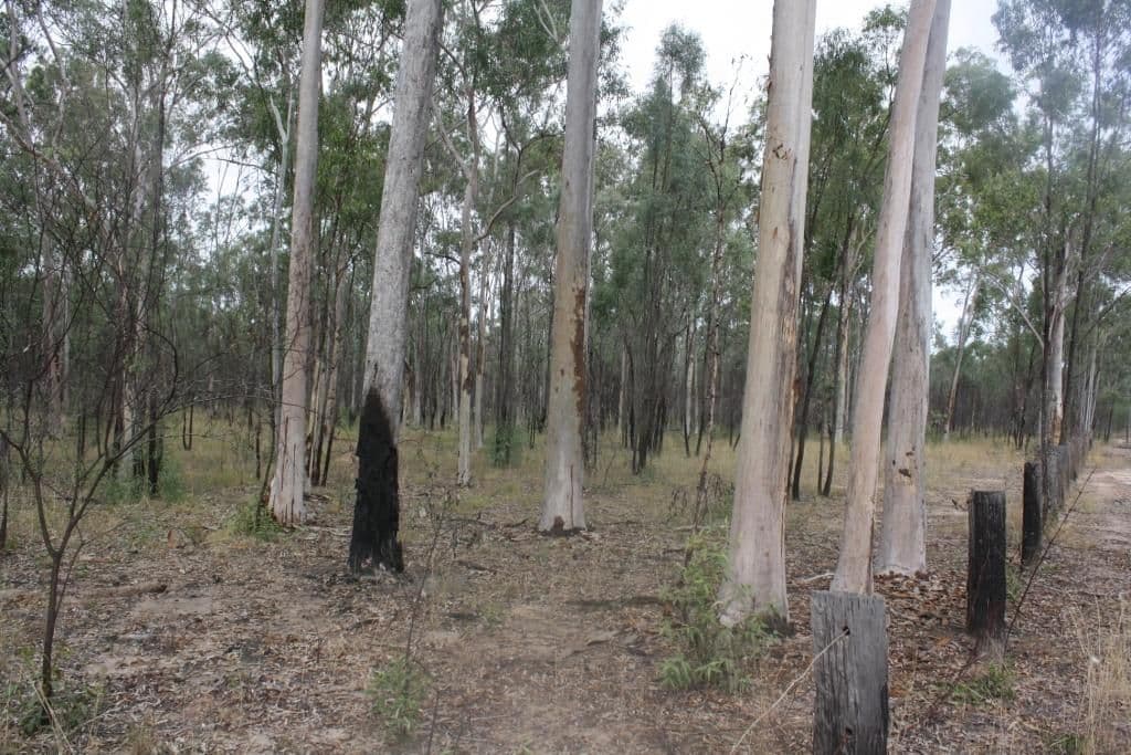 MUNDUBBERA QLD 4626, Mundubbera - Thumbnail 5