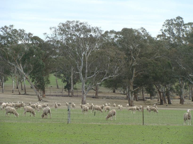 26 Greeenaways Road, MOORALLA VIC 3314, Mooralla - Thumbnail 7