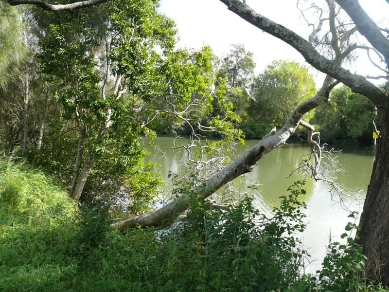 73 The Peninsula, HELENSVALE QLD 4212, Helensvale - Thumbnail 3