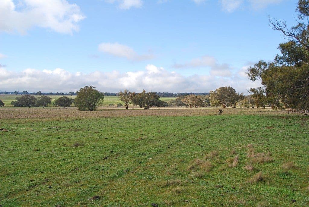 240-280 Kierces Road, CLUNES  Victoria  3370, Australia, Clunes - Thumbnail 2