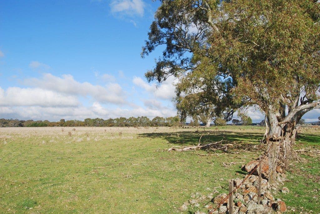 240-280 Kierces Road, CLUNES  Victoria  3370, Australia, Clunes - Thumbnail 4