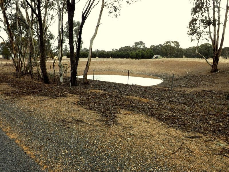 936 Kooreh Road, CARAPOOEE VIC 3478, Carapooee - Thumbnail 8