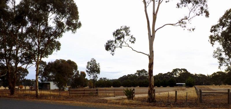 936 Kooreh Road, CARAPOOEE VIC 3478, Carapooee - Thumbnail 5