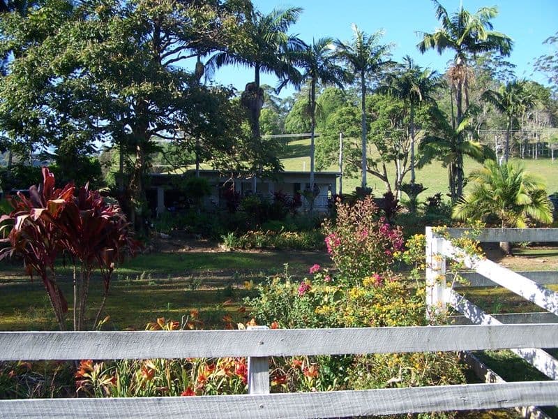 128 Syndicate Road, TALLEBUDGERA VALLEY QLD 4228, Tallebudgera Valley - Thumbnail 8