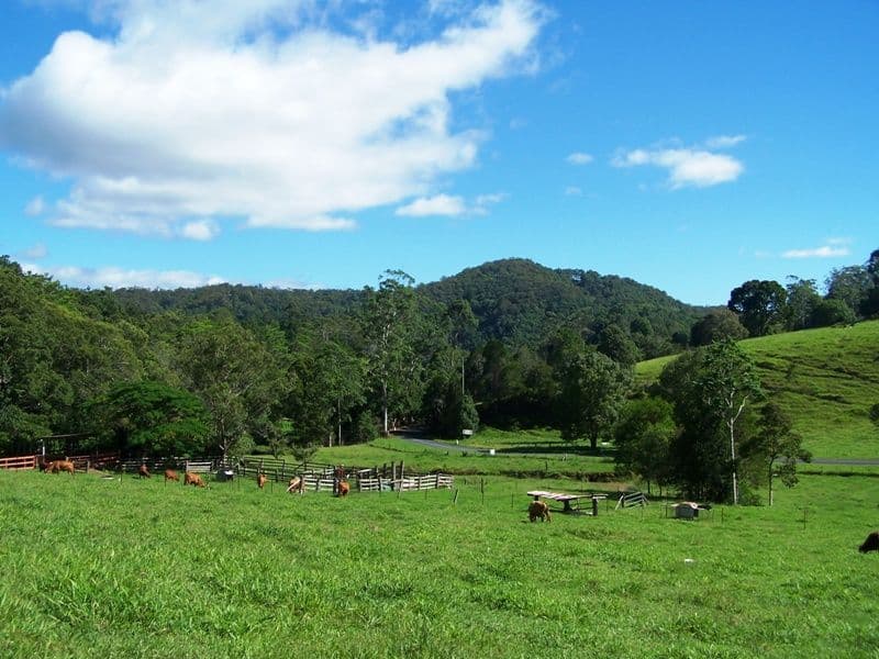 128 Syndicate Road, TALLEBUDGERA VALLEY QLD 4228, Tallebudgera Valley - Thumbnail 2