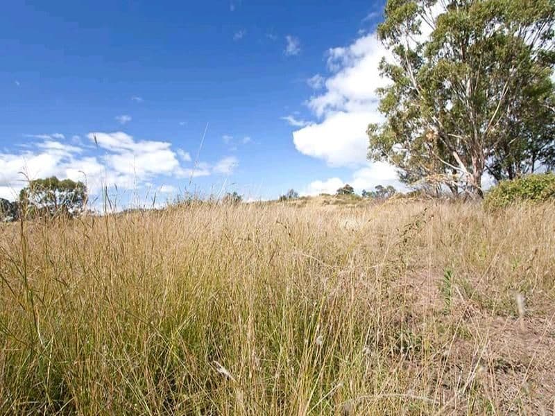 FORDSDALE QLD 4343, Fordsdale - Thumbnail 2