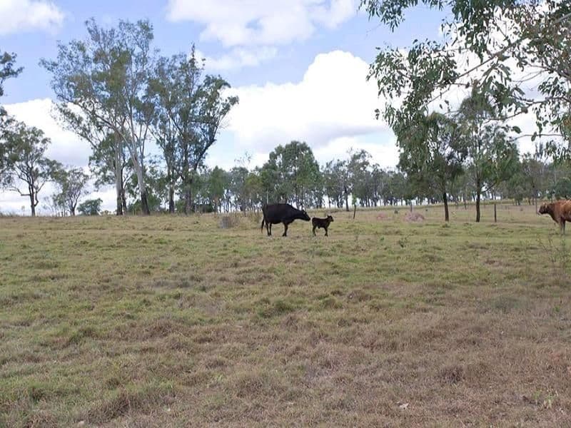 Lot 2 Whitehouse Road, LAIDLEY HEIGHTS QLD 4341, Laidley Heights - Thumbnail 8