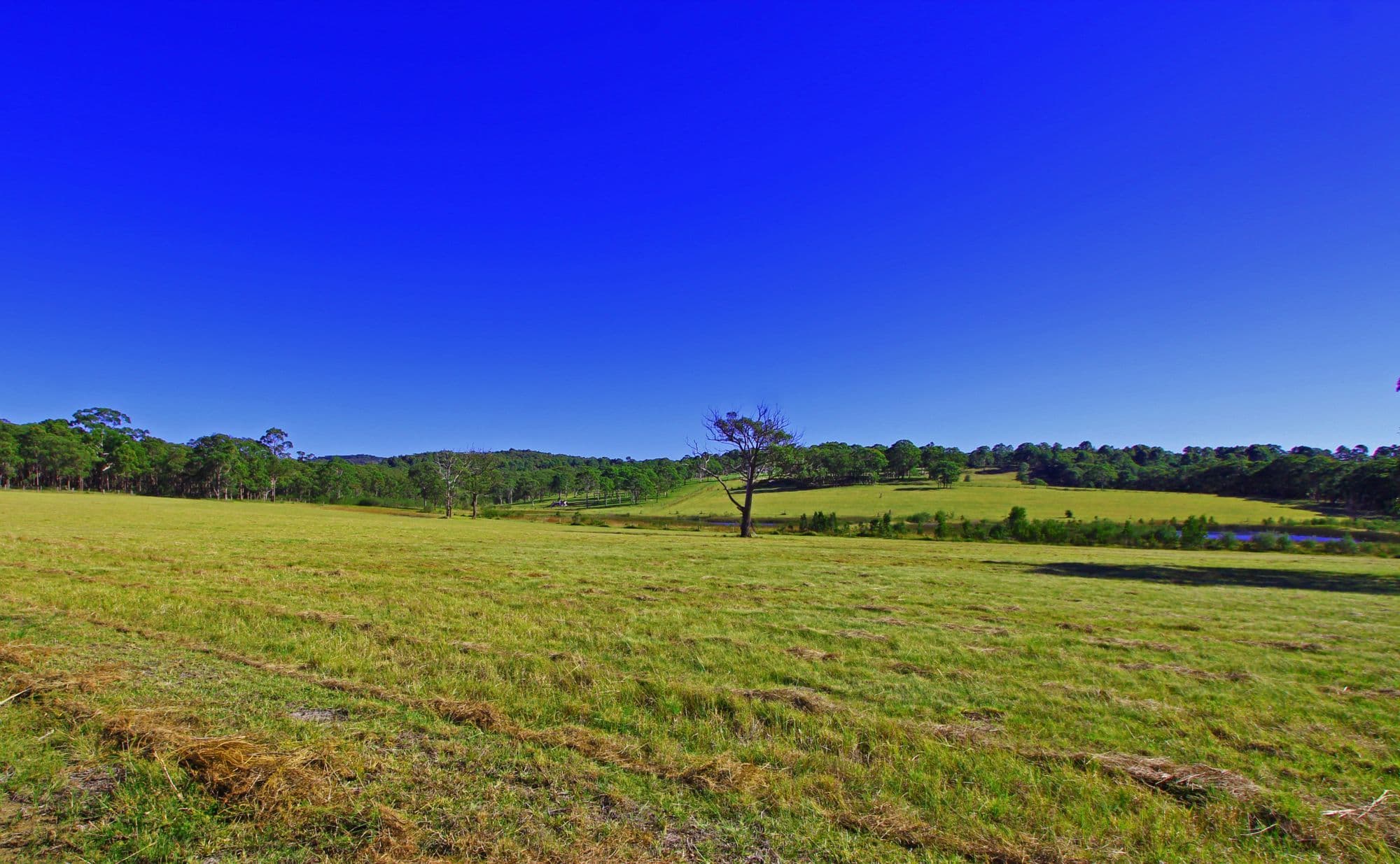 1185 Hue Hue Road, WYEE NSW 2259, Wyee - Thumbnail 5