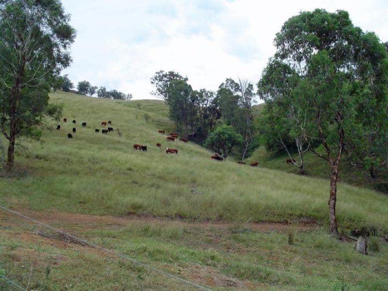 2 Maccallum Street, MOONAN FLAT NSW 2337, Moonan Flat - Thumbnail 4