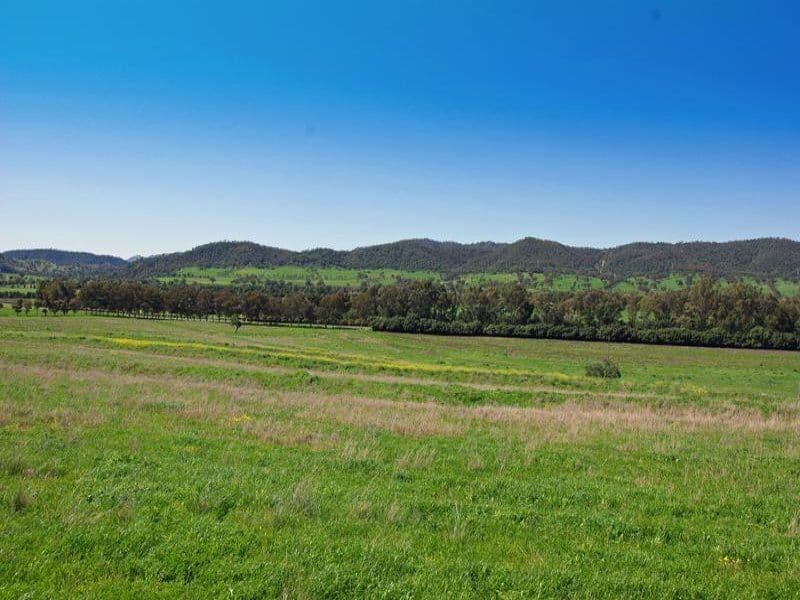 SCONE NSW 2337, Scone - Thumbnail 2