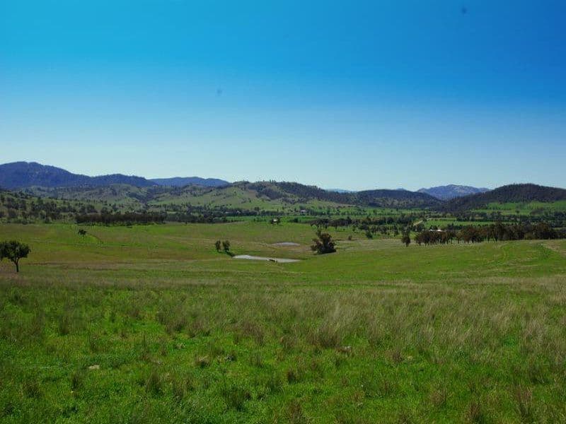 SCONE NSW 2337, Scone - Image 1