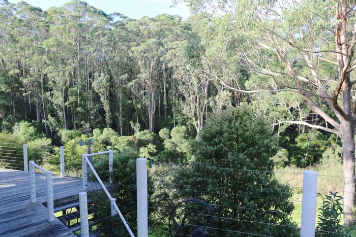 765 Old Highway, NAROOMA NSW 2546, Narooma - Thumbnail 3