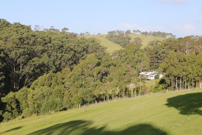 765 Old Highway, NAROOMA NSW 2546, Narooma - Thumbnail 5