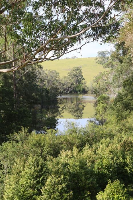 765 Old Highway, NAROOMA NSW 2546, Narooma - Thumbnail 4