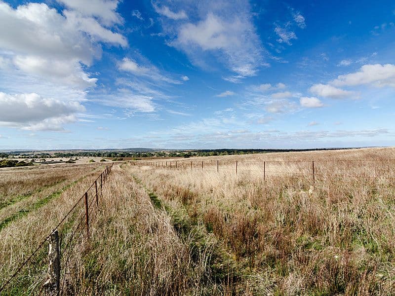 60 Chaunceys Line Road, STRATHALBYN SA 5255, Strathalbyn - Thumbnail 8