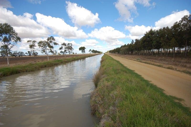 "KULAROO" Conargo Road, JERILDERIE NSW 2716, Jerilderie - Thumbnail 6