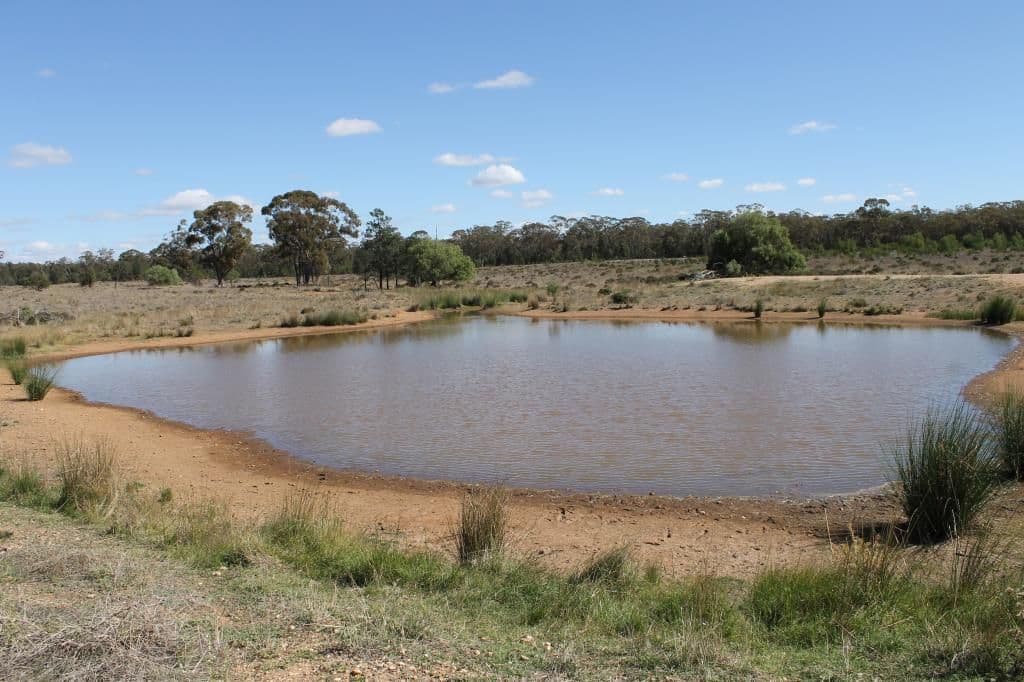 "Croydon" Albert, TOTTENHAM NSW 2873, Tottenham - Thumbnail 2