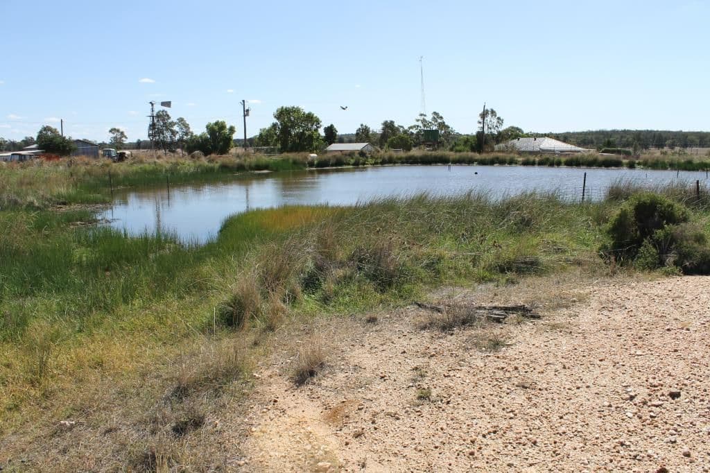 "Croydon" Albert, TOTTENHAM NSW 2873, Tottenham - Thumbnail 8