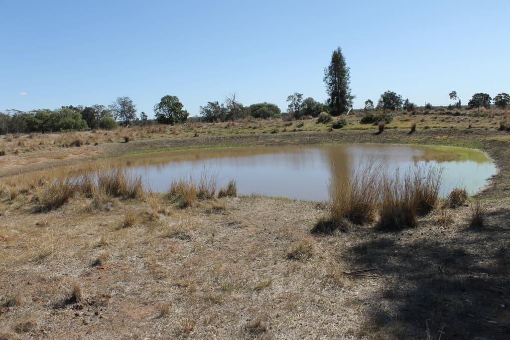 "Croydon" Albert, TOTTENHAM NSW 2873, Tottenham - Thumbnail 3