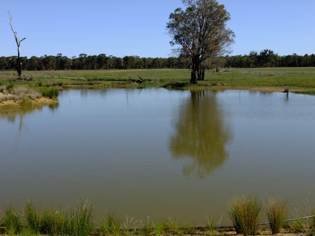 PURLEWAUGH NSW 2357, Purlewaugh - Image 1