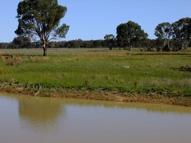 PURLEWAUGH NSW 2357, Purlewaugh - Thumbnail 8