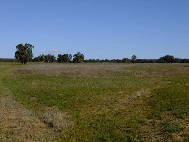 PURLEWAUGH NSW 2357, Purlewaugh - Thumbnail 5