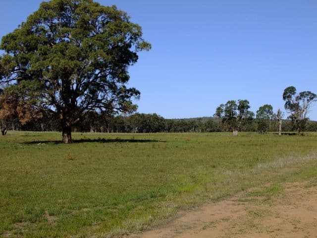 PURLEWAUGH NSW 2357, Purlewaugh - Thumbnail 2