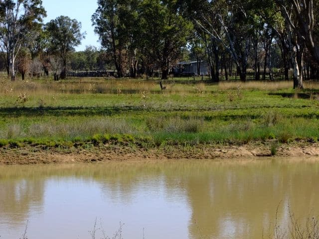 PURLEWAUGH NSW 2357, Purlewaugh - Thumbnail 6