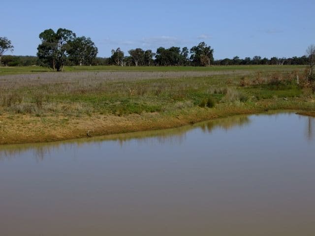 PURLEWAUGH NSW 2357, Purlewaugh - Thumbnail 7