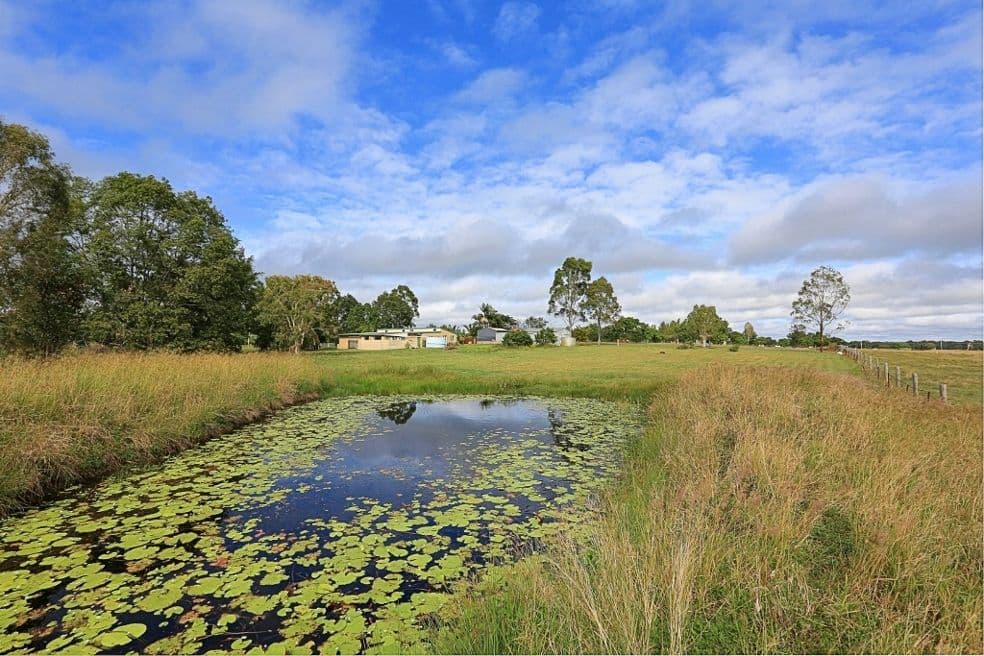 19 Mark Road, BRANYAN QLD 4670, Branyan - Thumbnail 7