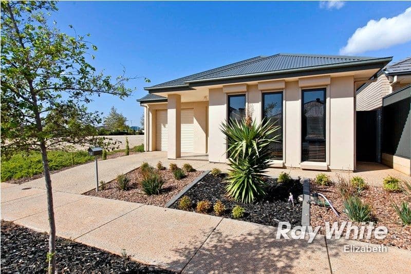 14 Swinden Crescent, BLAKEVIEW SA 5114, Blakeview - Thumbnail 4