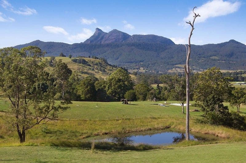 77 Eaglehawk Close, TYALGUM NSW 2484, Tyalgum - Thumbnail 7